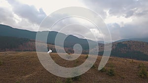 Lovely newlyweds bride groom dancing on mountain autumn slope, aerial view, wedding couple family