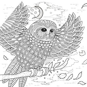 Lovely owl coloring page