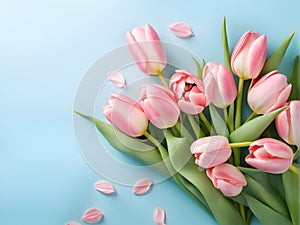 Lovely pastel pink tulips bunch. bouquet of tulips for banners