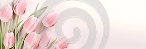 Lovely pastel pink tulips bunch, floral border at light stone background, top view. Layout for springtime holidays.