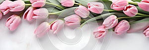 Lovely pastel pink tulips bunch, floral border at light stone background, top view. Layout for springtime holidays.
