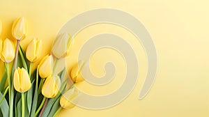 Lovely pastel yellow tulips bunch, floral border at light yellow background, top view. Layout for springtime holidays.