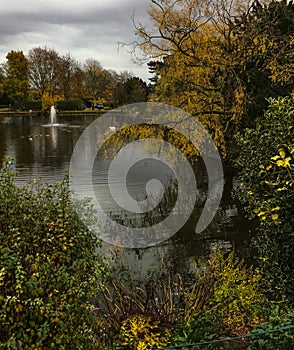 Lovely peaceful early autumn scene of pond and trees at Bletchley Park photo
