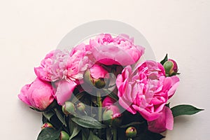 Lovely pink peonies on rustic white wooden background top view, space for text. floral greeting card, flat lay. beautiful peony