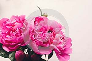 Lovely pink peonies on rustic white wooden background top view, space for text. floral greeting card mock-up. happy mothers day