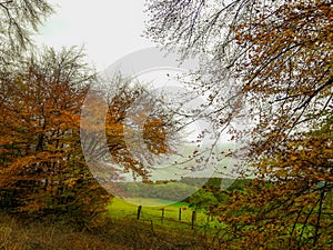 A lovely place in the Eifel