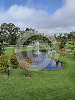 lovely pond on acreage