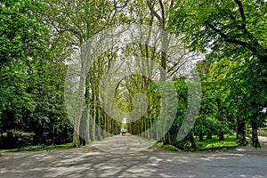 A lovely promenade leading to the Castle Chenonceaux