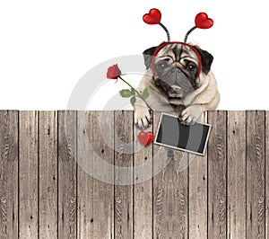 Lovely pug dog with hearts diadem, blackboard and rose, hanging on wooden fence