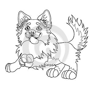 Lovely puppy dog sits contour line