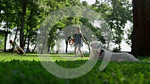 Lovely retriever lying observing park. Playful siblings kicking ball on grass