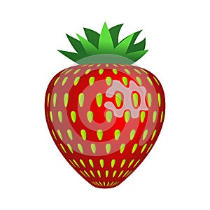 Lovely ripe strawberries.Vector illustration isolated