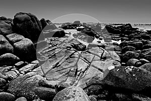 Lovely rocky bay covered with mist