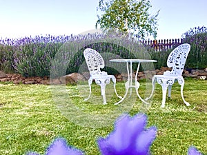 White iron table and chairs at the corner of Lavender garden.