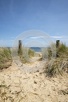 Lovely sand dunes and beach landscape on sunny Summer day