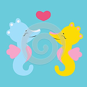 Lovely seahorses