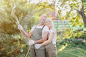 Lovely senior couple watering plants with hose, embracing and smiling to camera, gardening together