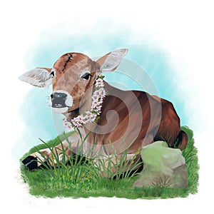 Lovely sitting calf on a meadow with a garland of daisies around his neck. Painting