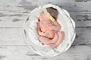 Lovely sleeping newborn girl in eggshell basket