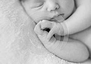 Lovely sleepy face and hands of a newborn baby