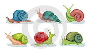 Lovely Snails Crawling In Different Directions Vector Illustrations