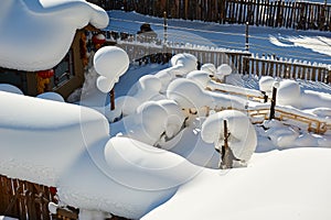 The lovely snow mushroom of China`s snow town