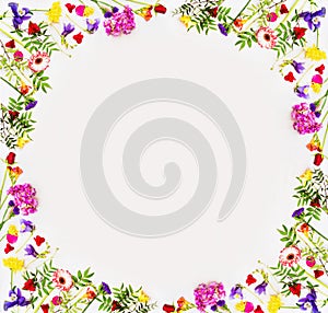Lovely springtime flowers background with colorful blossom, top view, frame. Springtime nature concept, frame place for text