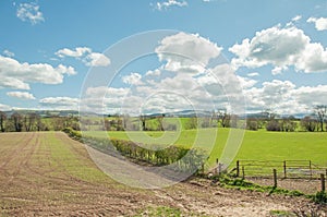 Lovely summertime scenery in the Welsh countryside.