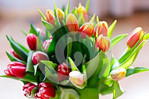 Lovely tulips bunch, floral border. Layout for springtime holidays. Mother day greeting card.