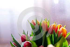 Lovely tulips bunch, floral border. Layout for springtime holidays. Mother day greeting card.