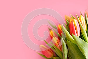 Lovely tulips bunch, floral border. Layout for springtime holidays. Mother day greeting card.