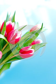 Lovely tulips bunch, floral border. Layout for springtime holidays. Mother day greeting card.