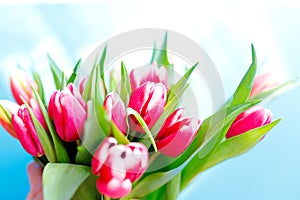 Lovely tulips bunch, floral border. Layout for springtime holidays. Mother day greeting card.