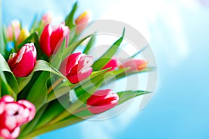 Lovely tulips bunch, floral border. Layout for springtime holidays. Mother day greeting card.