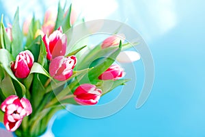Lovely tulips bunch, floral border. Layout for springtime holidays. Mother day greeting card.