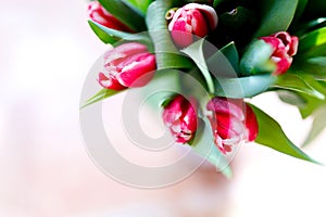 Lovely tulips bunch, floral border. Layout for springtime holidays. Mother day greeting card.