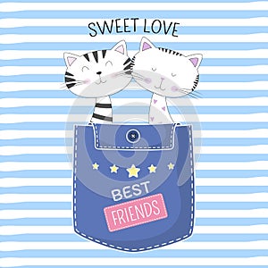 Lovely two cats in pocket with text sweet love on blue background