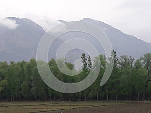 LOVELY VIEW OF KASHMIR MOUNTAIN AND GREENERY