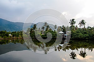 Lovely view of the lake and palms in tropical forest over cloudy morning sky