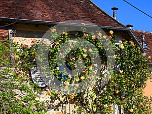 The lovely village of Samois-sur-Seine in in the Seine-et-Marne department in the ÃŽle-de-France region in north-central France