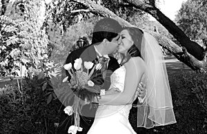 Lovely wedding kiss photo