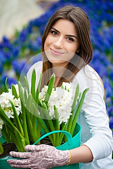 Lovely white hyacinth flower