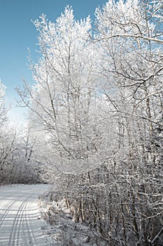 Lovely Winter Drive