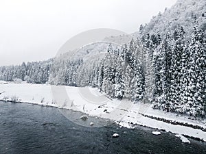 Lovely winter scenery with Fir trees covered with snow near river