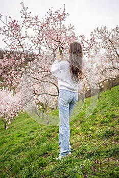 Lovely young woman taking photo of blooming pink and white garden Petrin in Prague, spring time in Europe