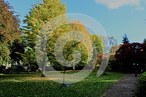 wonderful creation of nature