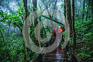 Lover asian man and asian women travel nature. Nature Study in the rain forest at Chiangmai in Thailand