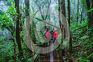 Lover asian man and asian women travel nature. Nature Study in the rain forest at Chiangmai in Thailand