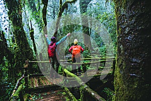 Lover asian man and asian women travel nature. Nature Study in the rain forest at Chiangmai in Thailand