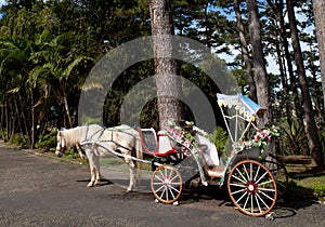 Lover Carriage